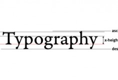 Typography and Accessibility: The Essentials