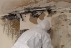 How to remove mildew and mould from your walls