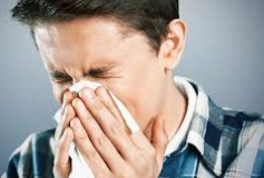 The airborne allergens affecting us all